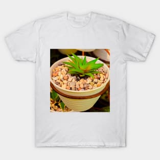 Green succulent in white pot with white stones. T-Shirt